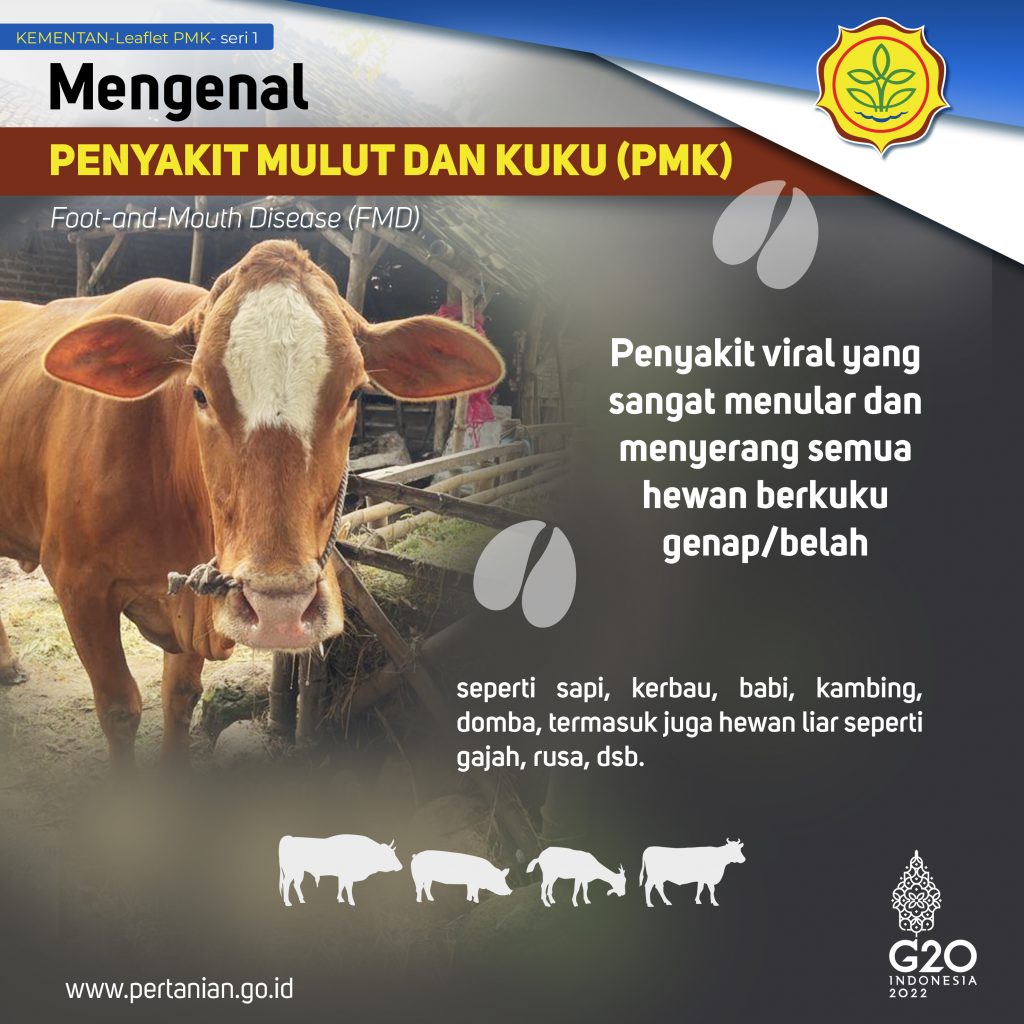 Mengenal PMK