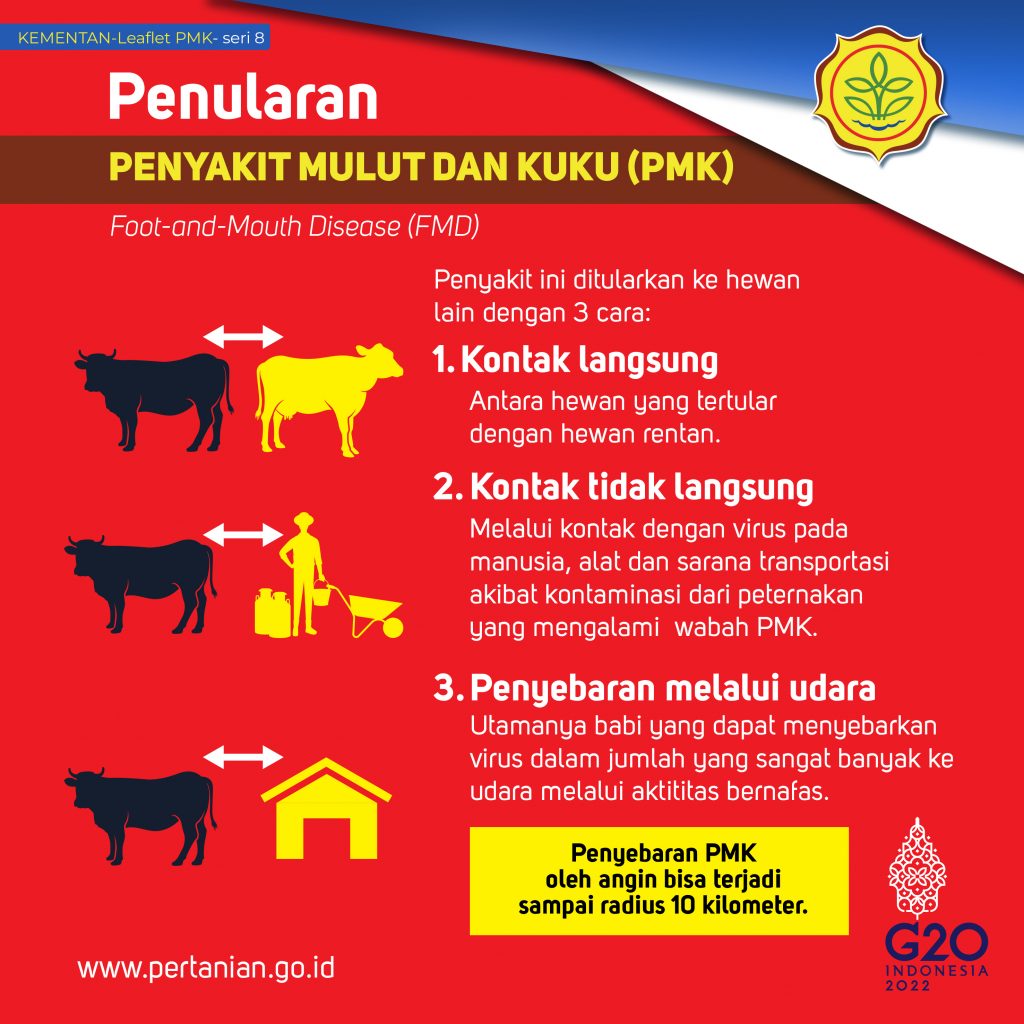 PENULARAN PMK